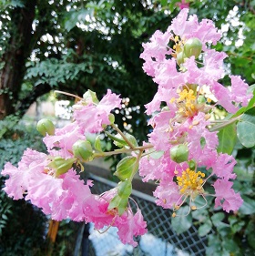 f:id:sail-t:20210821153925j:plain