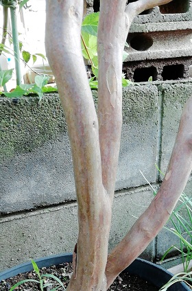 f:id:sail-t:20210821154116j:plain