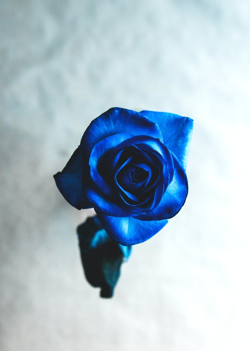 f:id:sailch-s:20200627175549j:plain f:id:sailch-s:20200627175549j:plain