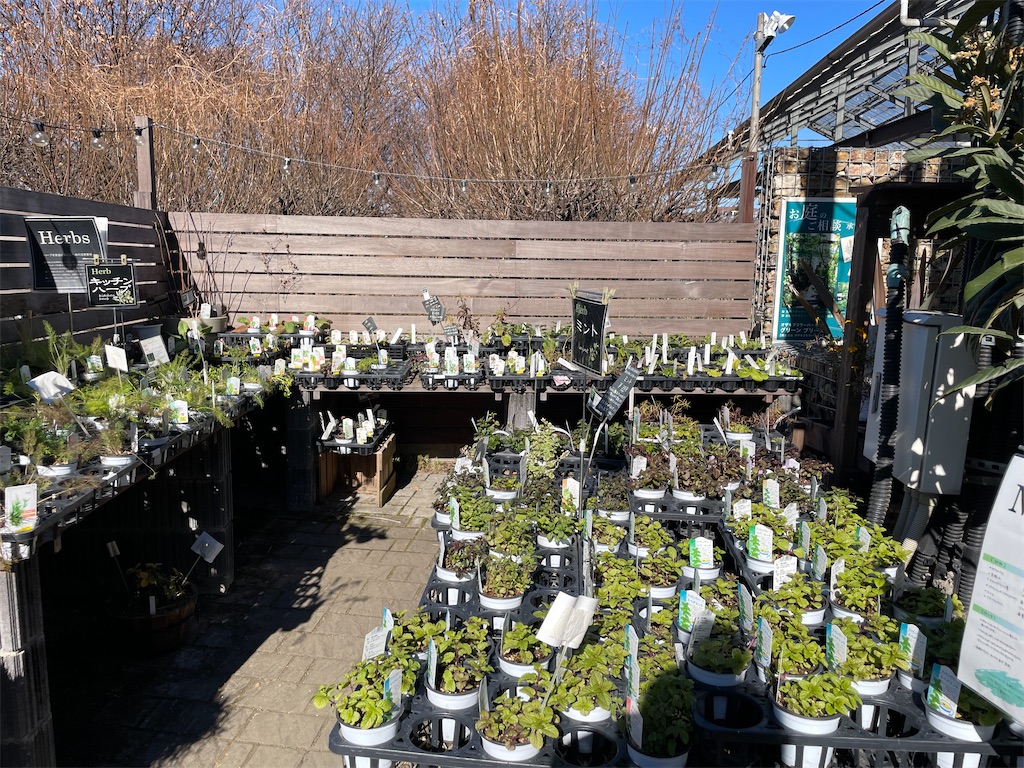 f:id:sailch_gardening:20230106101435j:image f:id:sailch_gardening:20230106101435j:image