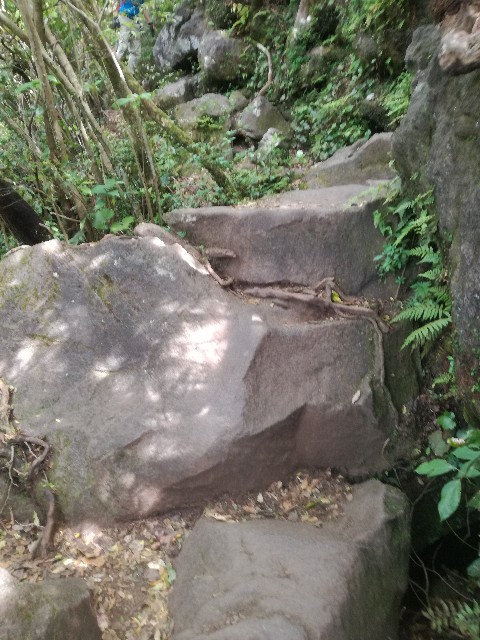 f:id:sailingday0111:20190602182812j:image f:id:sailingday0111:20190602182812j:image