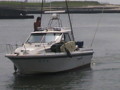 20100815110711