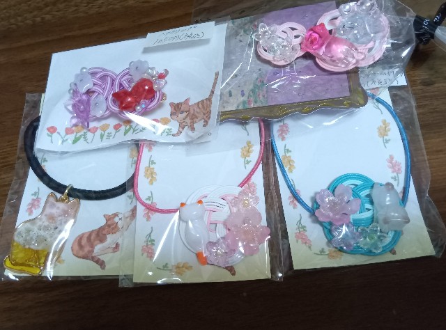 f:id:sailingwithcats:20250620113355j:image