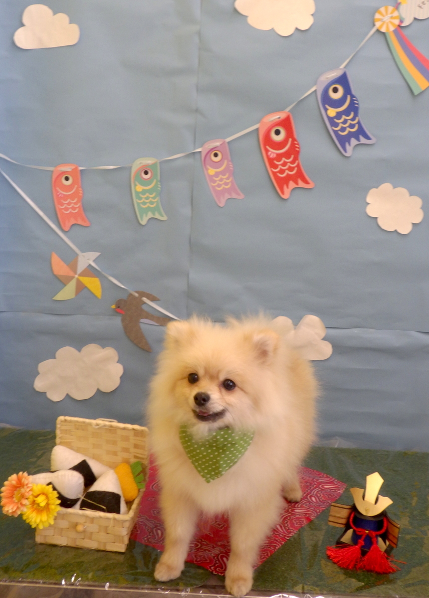 f:id:sainomori-ah:20190509194627j:plain