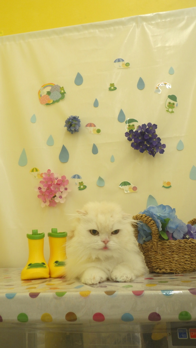 f:id:sainomori-ah:20190611183118j:plain
