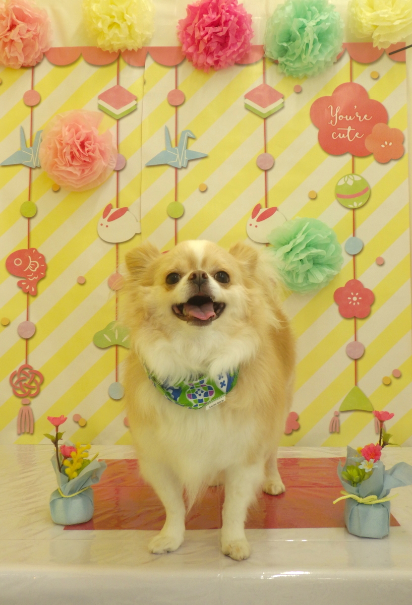 f:id:sainomori-ah:20190614223401j:plain