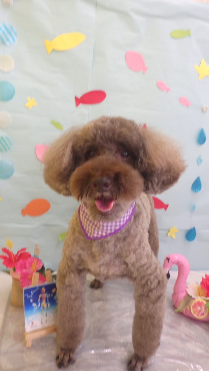 f:id:sainomori-ah:20190809114703j:plain