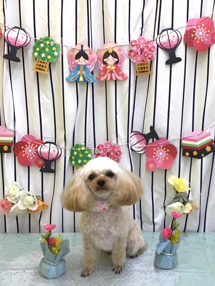 f:id:sainomori-ah:20210228195839j:plain