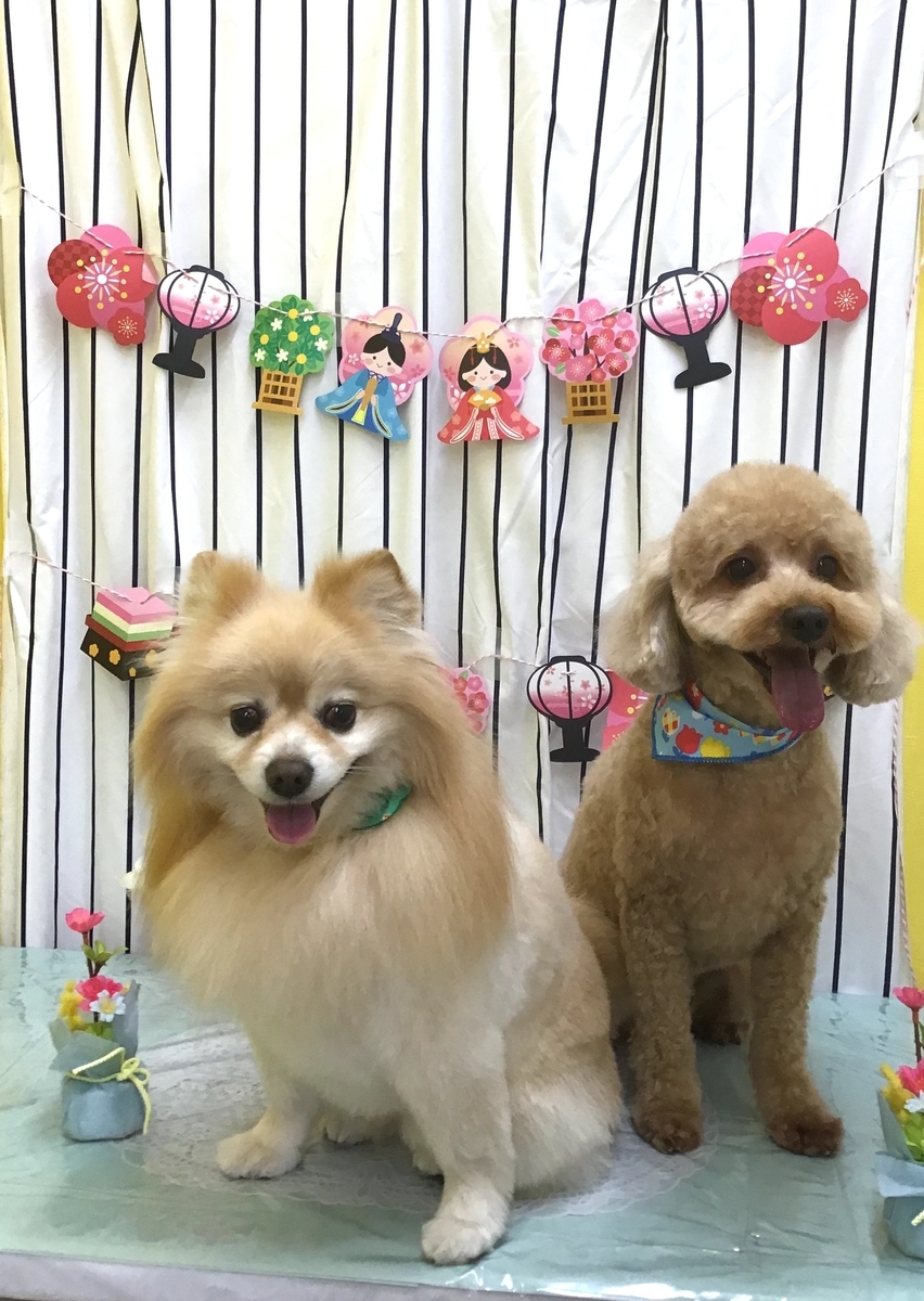f:id:sainomori-ah:20210311192859j:plain