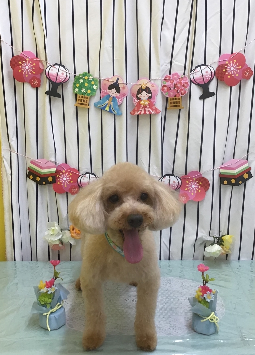 f:id:sainomori-ah:20210311192935j:plain