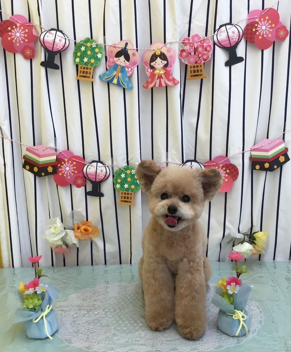 f:id:sainomori-ah:20210311192952j:plain