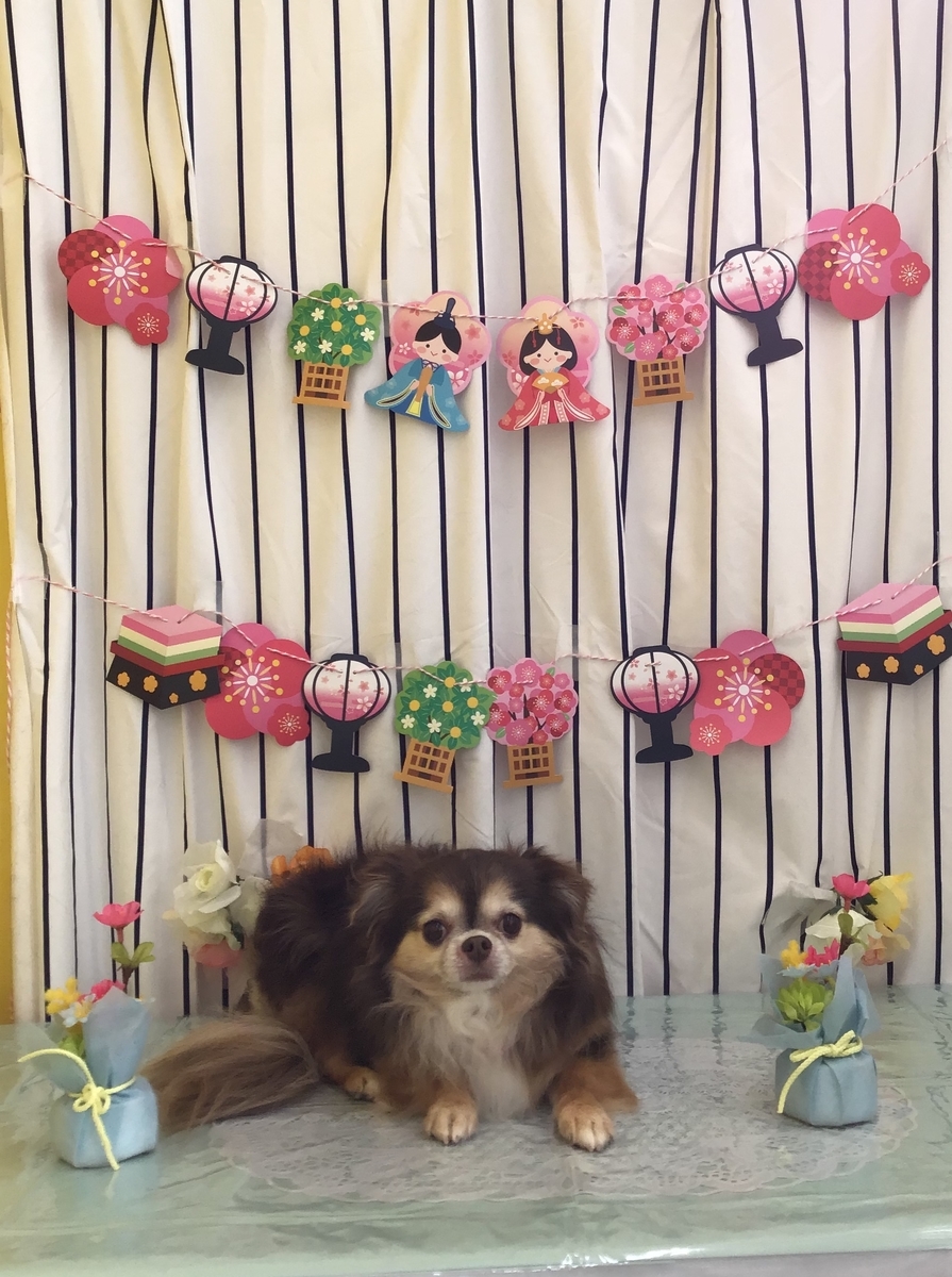 f:id:sainomori-ah:20210311193011j:plain