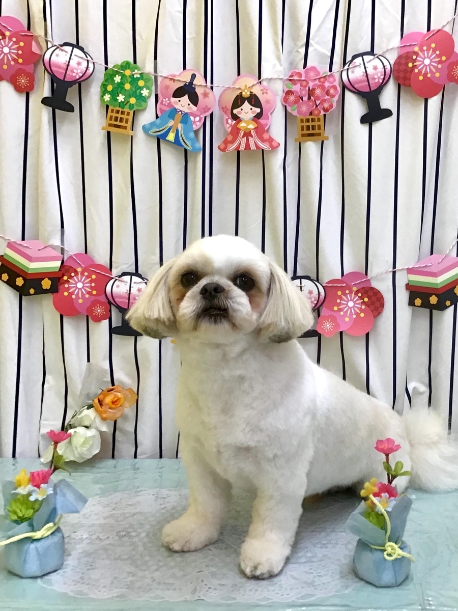 f:id:sainomori-ah:20210314203422j:plain