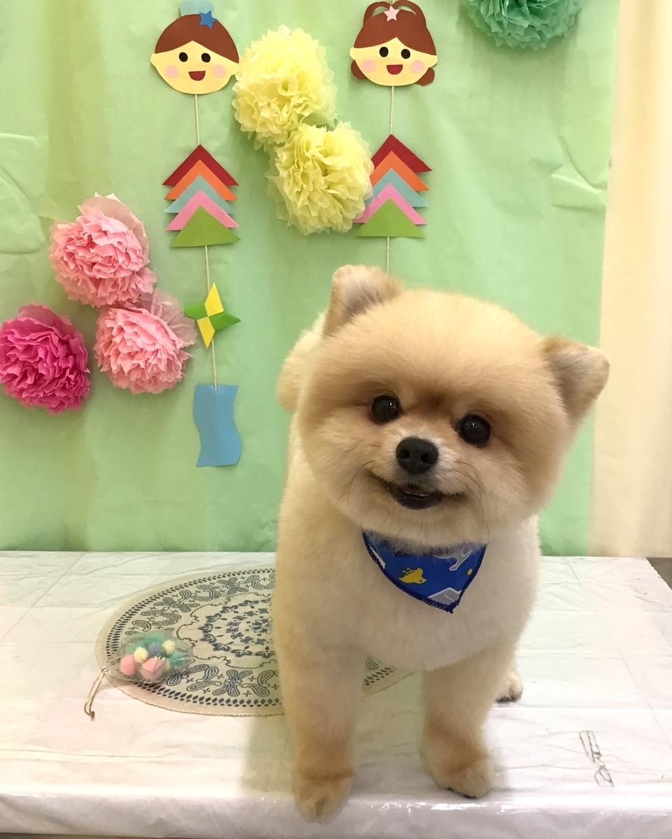 f:id:sainomori-ah:20210712183451j:plain