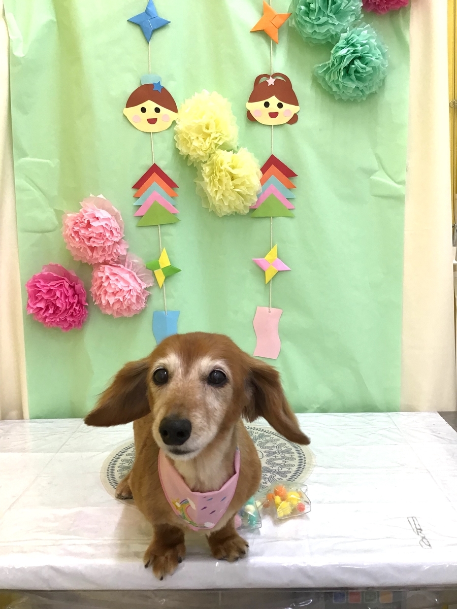 f:id:sainomori-ah:20210712183505j:plain