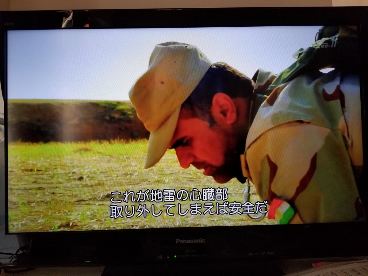 f:id:saio-ga-horse:20190326204826j:plain f:id:saio-ga-horse:20190326204826j:plain