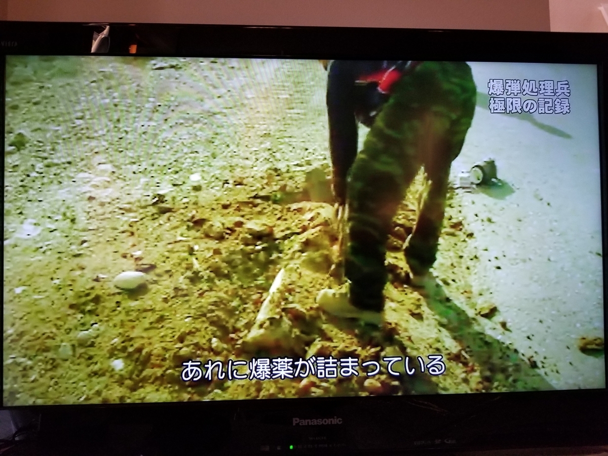 f:id:saio-ga-horse:20190326213530j:plain f:id:saio-ga-horse:20190326213530j:plain