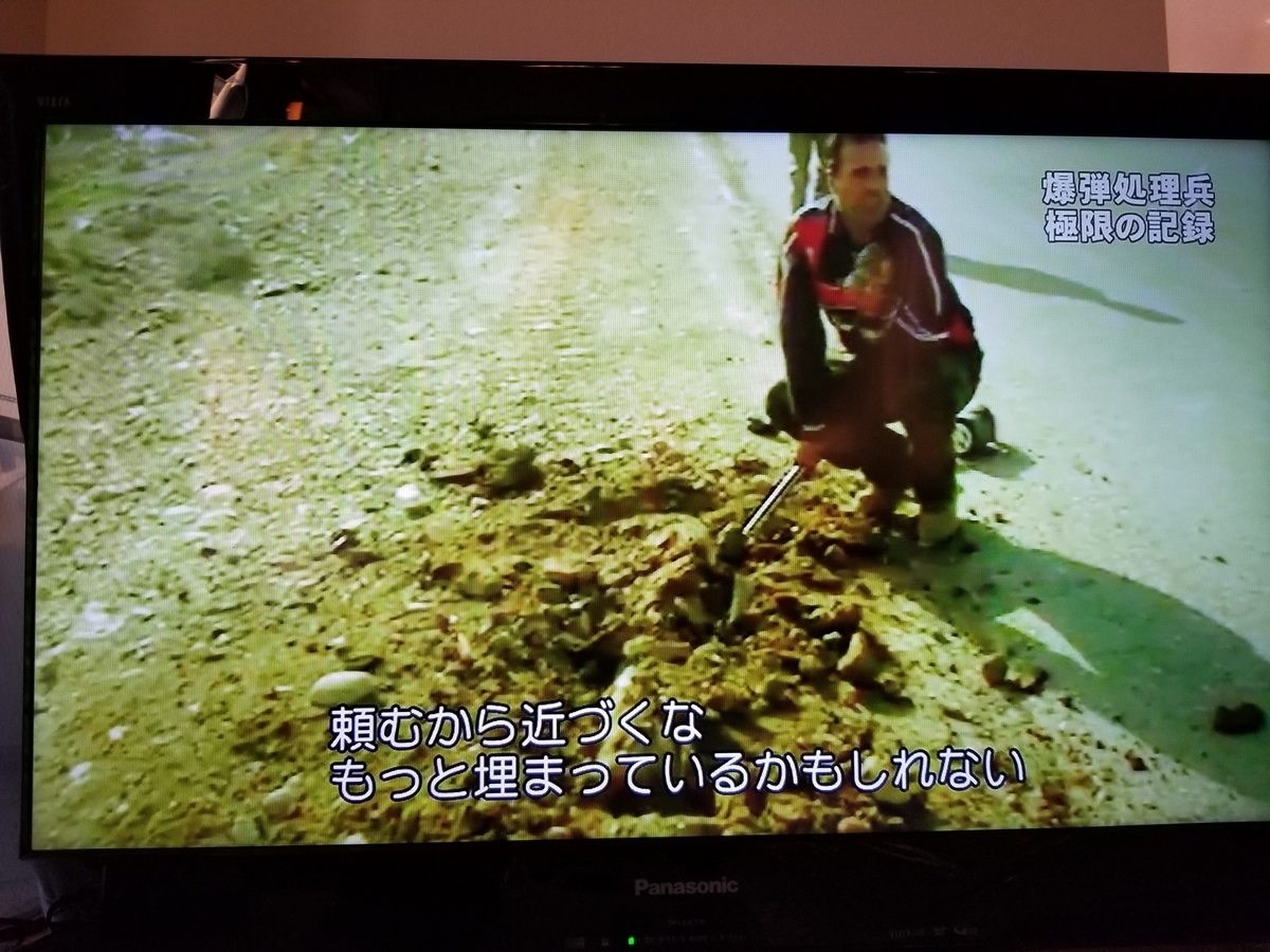 f:id:saio-ga-horse:20190326213601j:plain f:id:saio-ga-horse:20190326213601j:plain