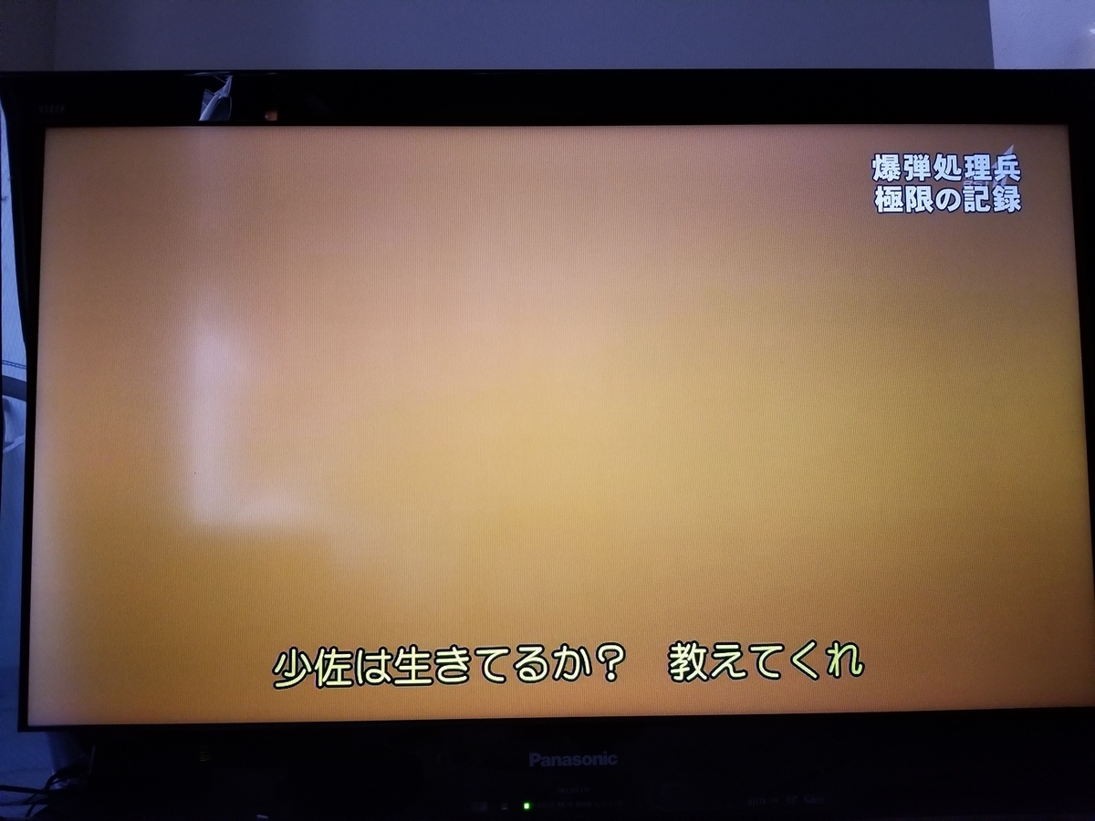 f:id:saio-ga-horse:20190326232618j:plain f:id:saio-ga-horse:20190326232618j:plain