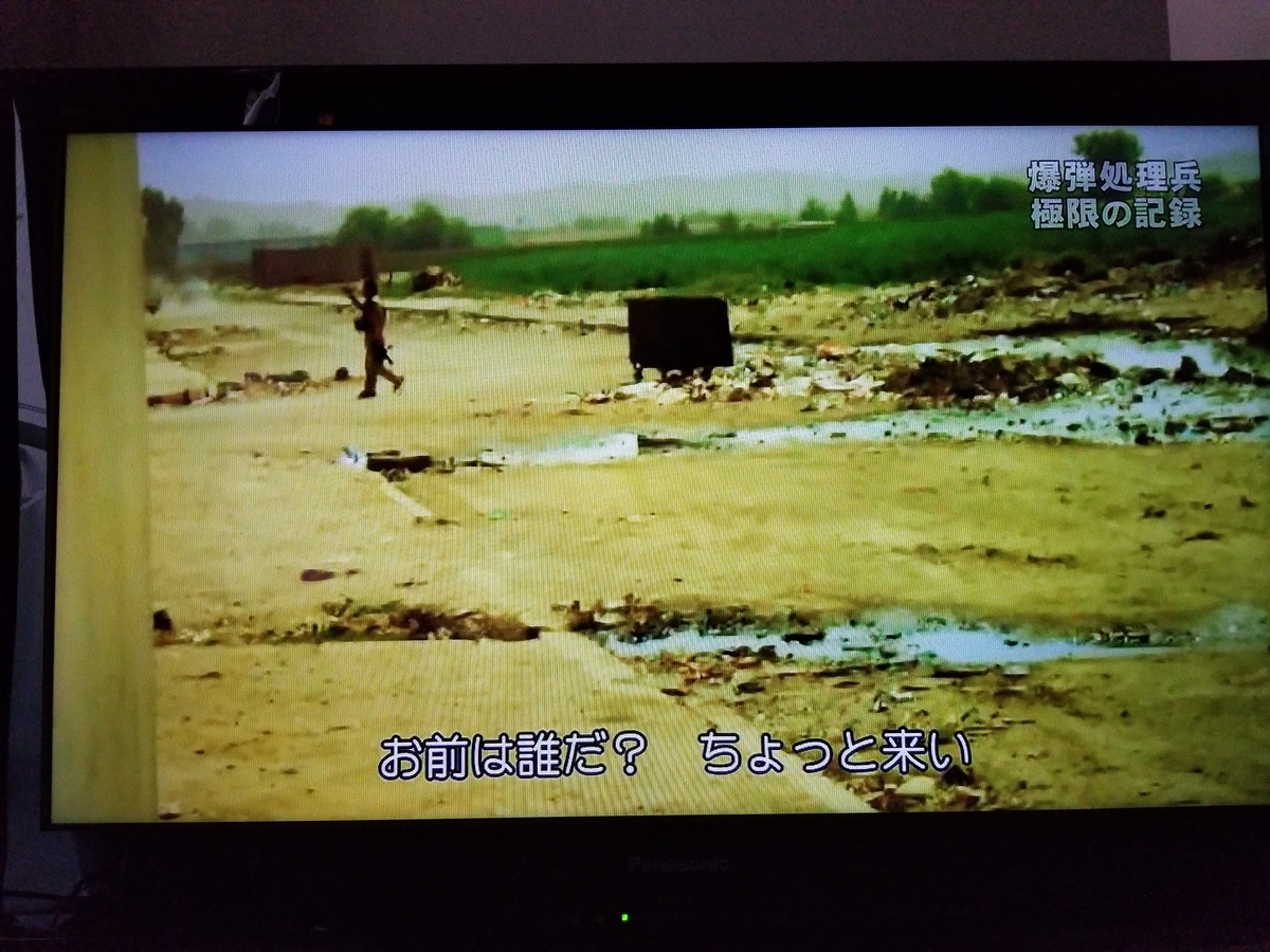 f:id:saio-ga-horse:20190326232706j:plain f:id:saio-ga-horse:20190326232706j:plain