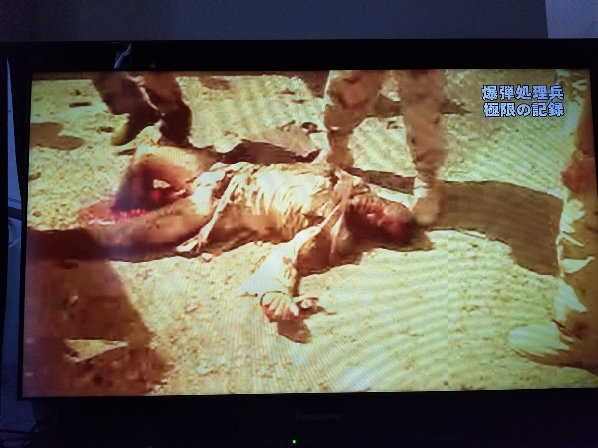 f:id:saio-ga-horse:20190326233103j:plain f:id:saio-ga-horse:20190326233103j:plain