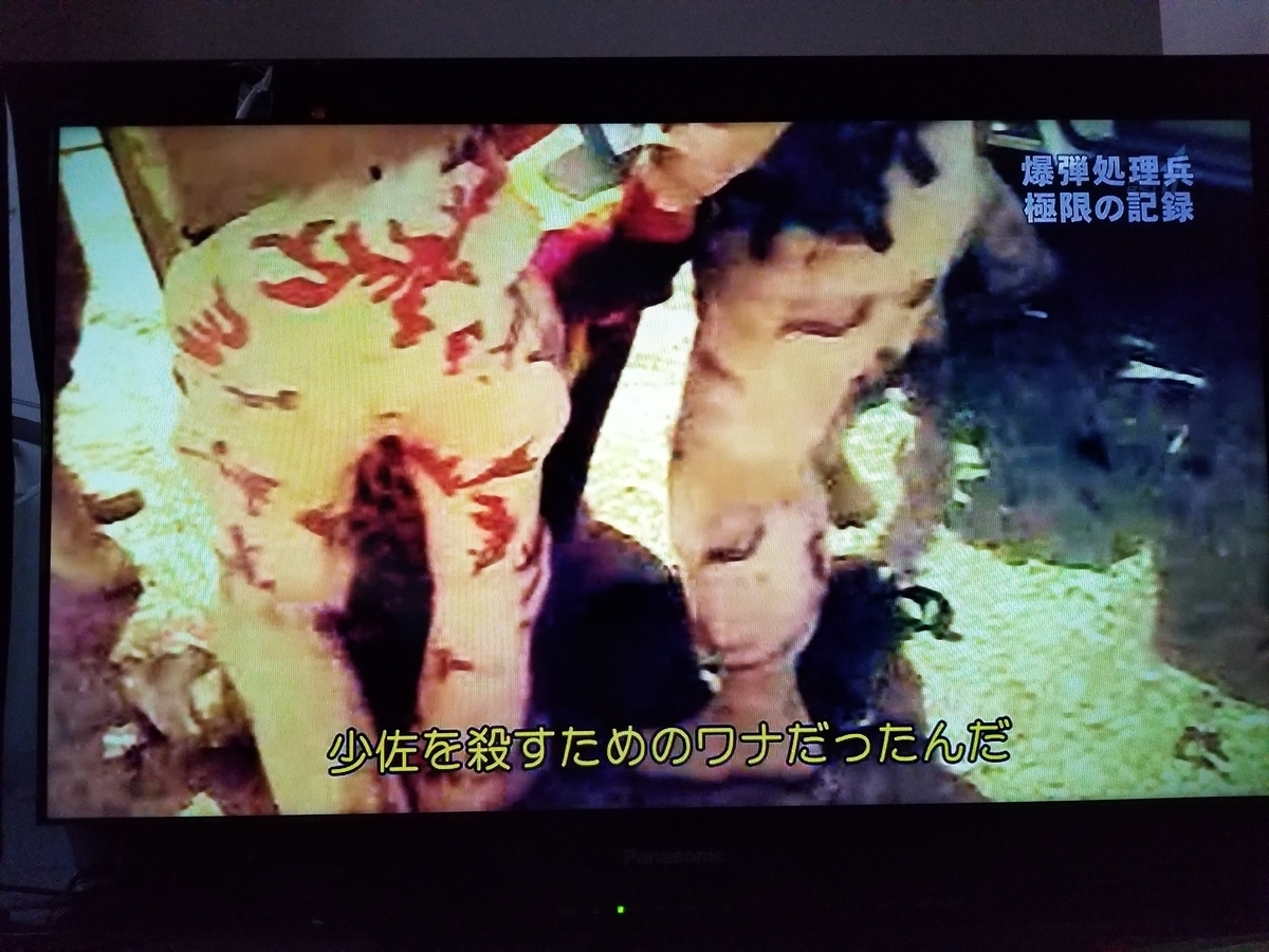 f:id:saio-ga-horse:20190326233118j:plain f:id:saio-ga-horse:20190326233118j:plain