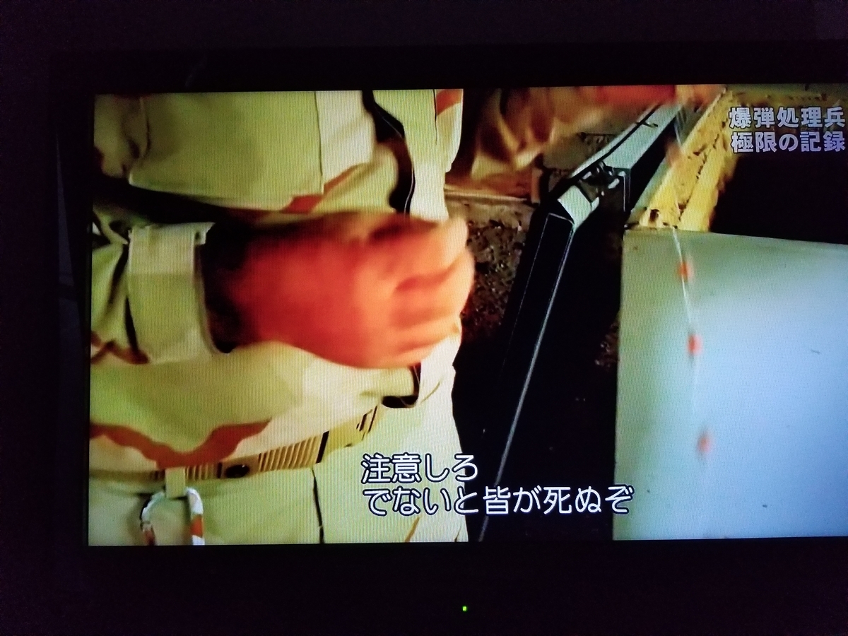 f:id:saio-ga-horse:20190328165559j:plain f:id:saio-ga-horse:20190328165559j:plain