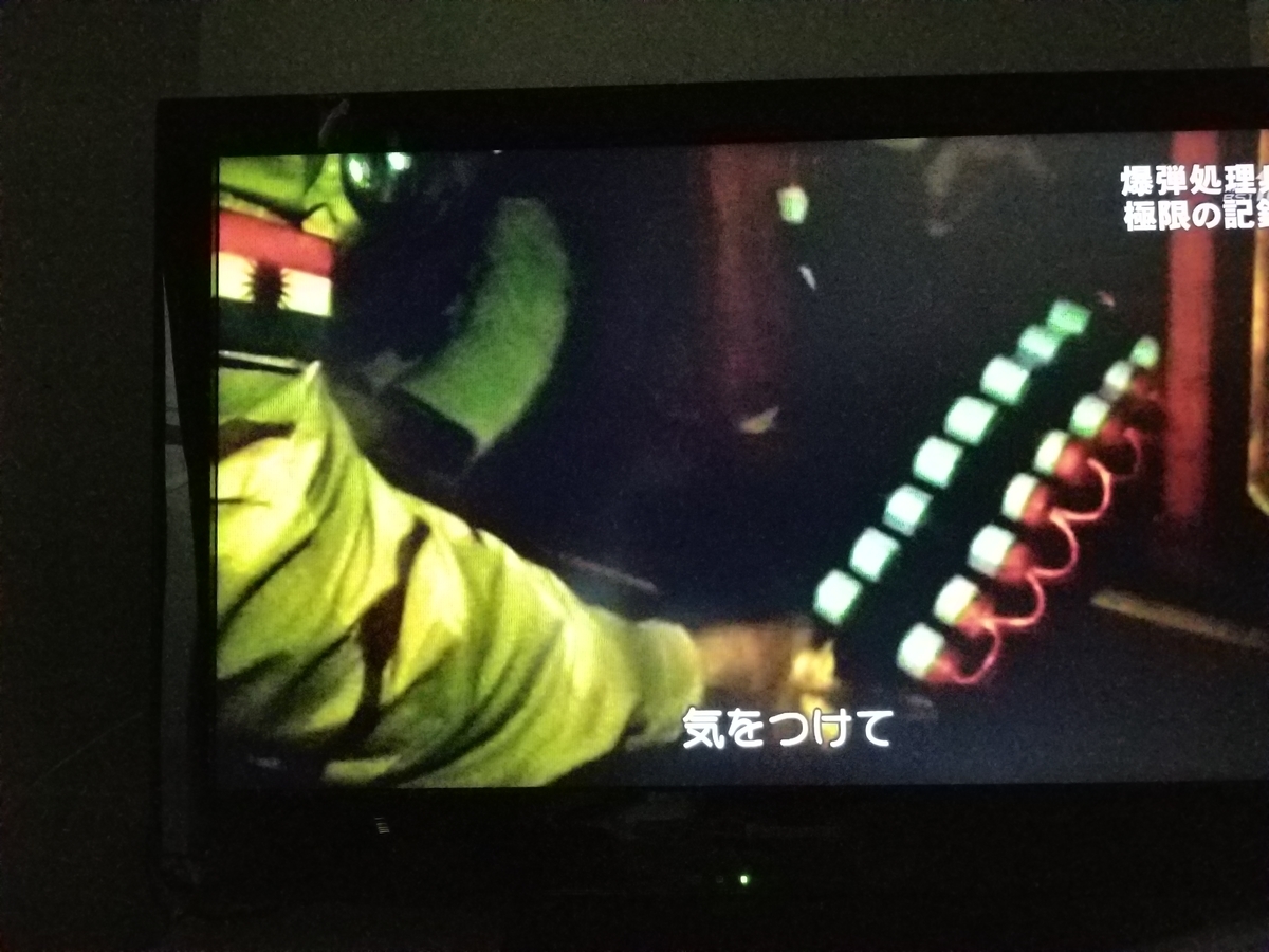 f:id:saio-ga-horse:20190328171230j:plain f:id:saio-ga-horse:20190328171230j:plain