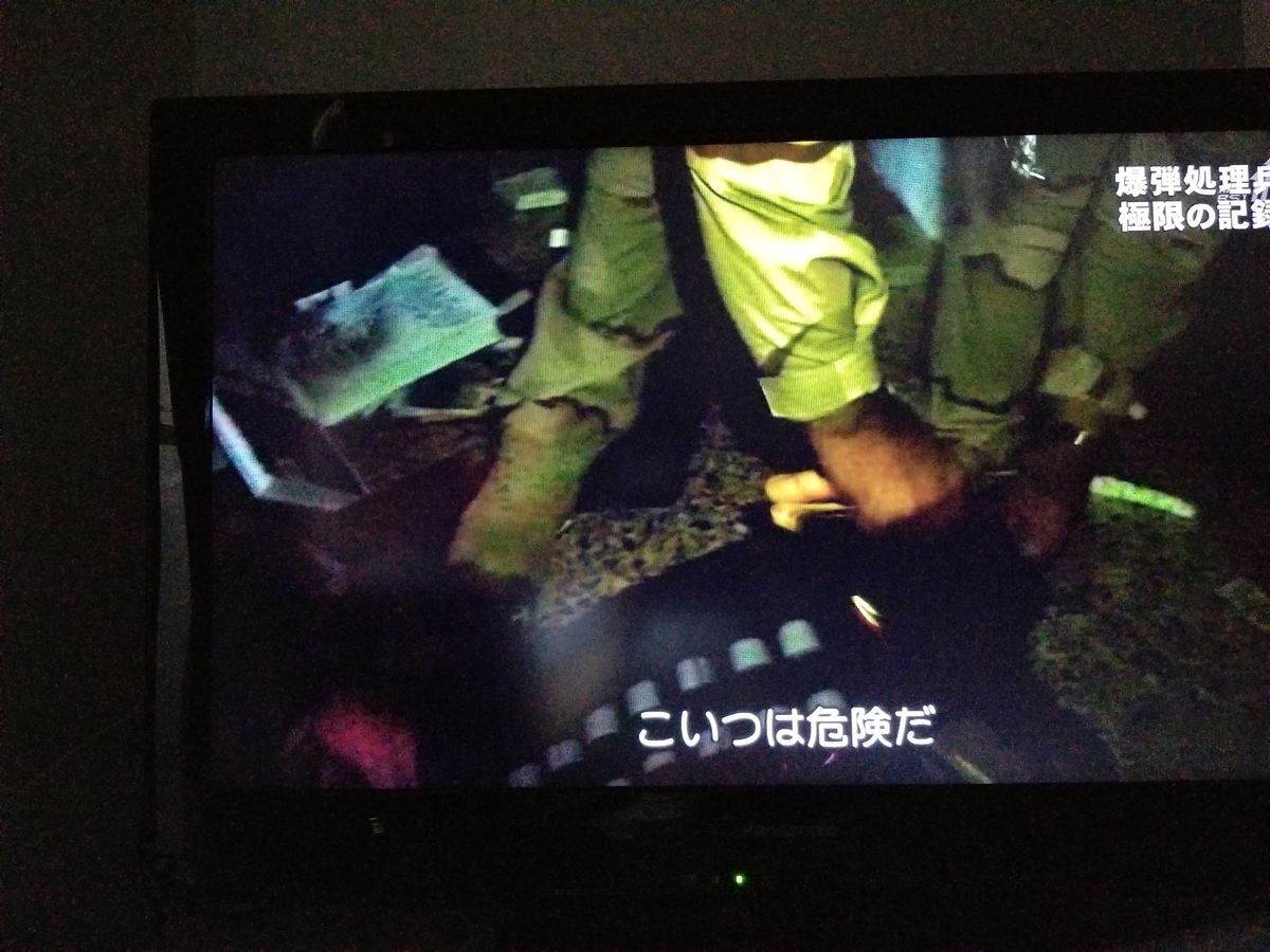 f:id:saio-ga-horse:20190328171246j:plain f:id:saio-ga-horse:20190328171246j:plain