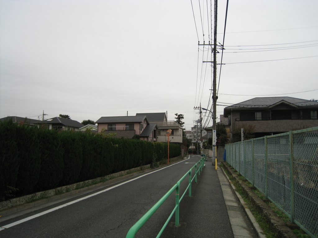 f:id:saisakura:20181213184802j:plain f:id:saisakura:20181213184802j:plain