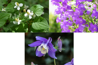 f:id:saishikiyuugi:20200514230757j:plain f:id:saishikiyuugi:20200514230757j:plain