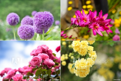 f:id:saishikiyuugi:20200515143104j:plain f:id:saishikiyuugi:20200515143104j:plain