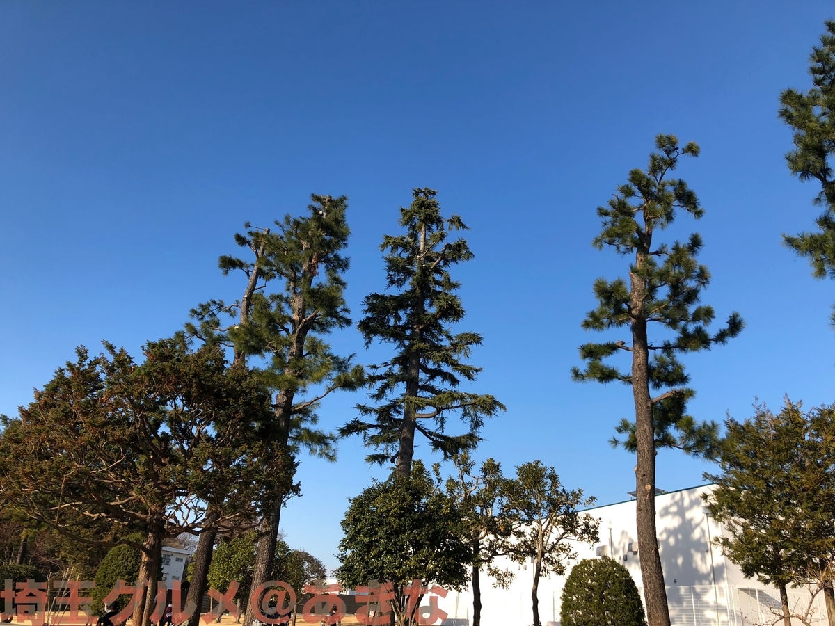 f:id:saitamaoishii:20210327221028j:plain