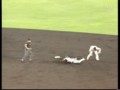 [プロ野球][阪神タイガース]