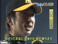 [プロ野球][阪神タイガース]