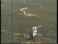 [プロ野球][阪神タイガース]