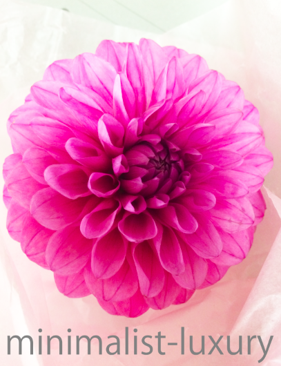 f:id:saito-iro:20180521141850j:plain