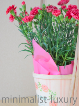 f:id:saito-iro:20180528010827j:plain f:id:saito-iro:20180528010827j:plain