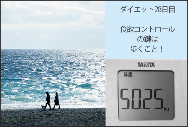 ダイエット28日目