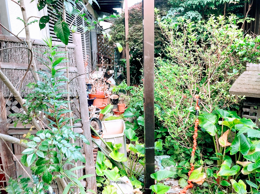 f:id:saito-iro:20190726035600j:plain