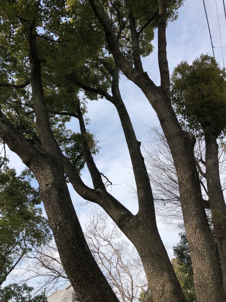 f:id:saito40:20180228235133j:plain