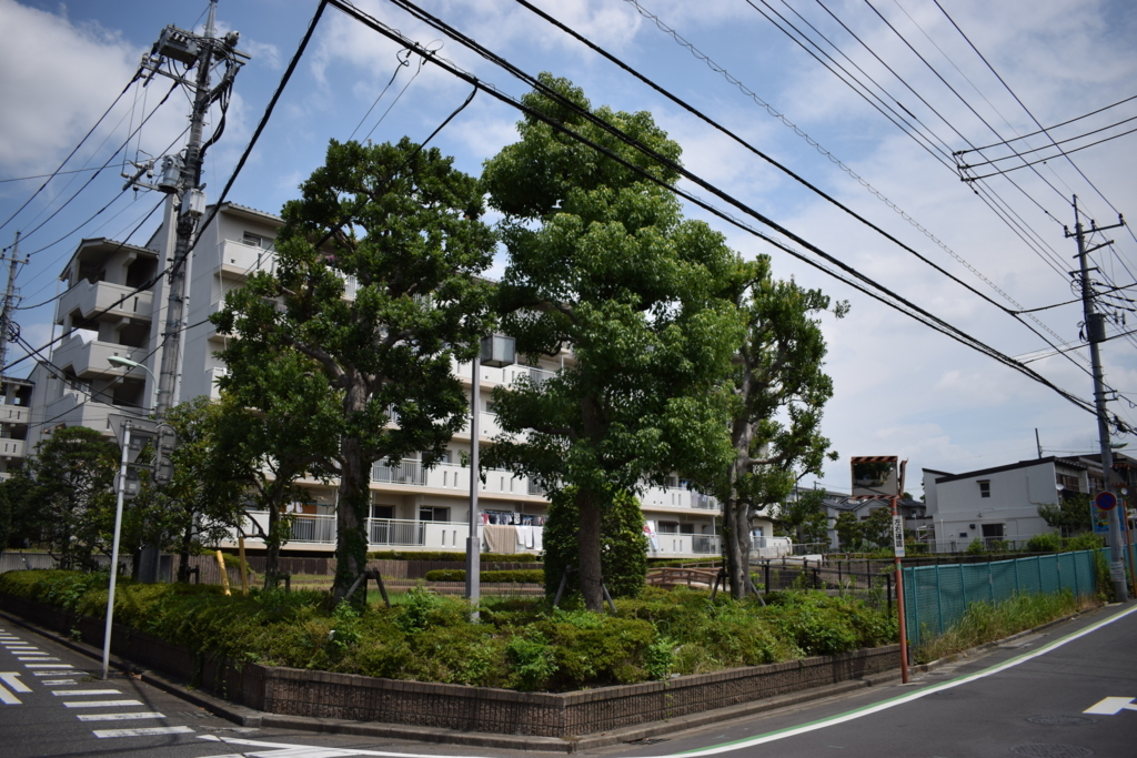 f:id:saito9525:20170726110607j:plain