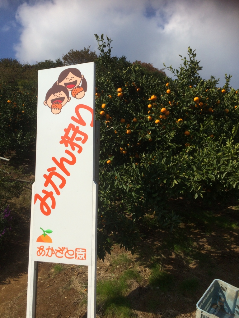 f:id:saitoh_naoki:20161114122844j:plain