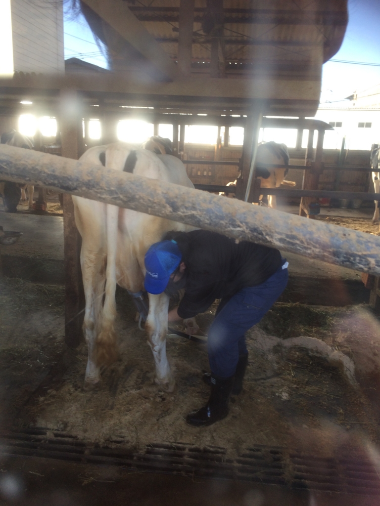 f:id:saitoh_naoki:20161114122933j:plain