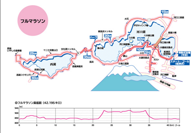 f:id:saitoh_naoki:20161125121143p:plain