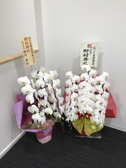 f:id:saitoh_naoki:20180126124507j:plain f:id:saitoh_naoki:20180126124507j:plain