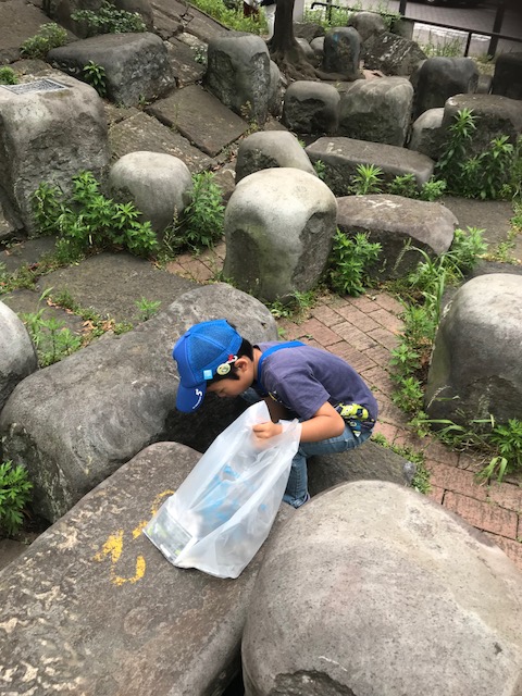 f:id:saitoh_naoki:20180529184709j:plain