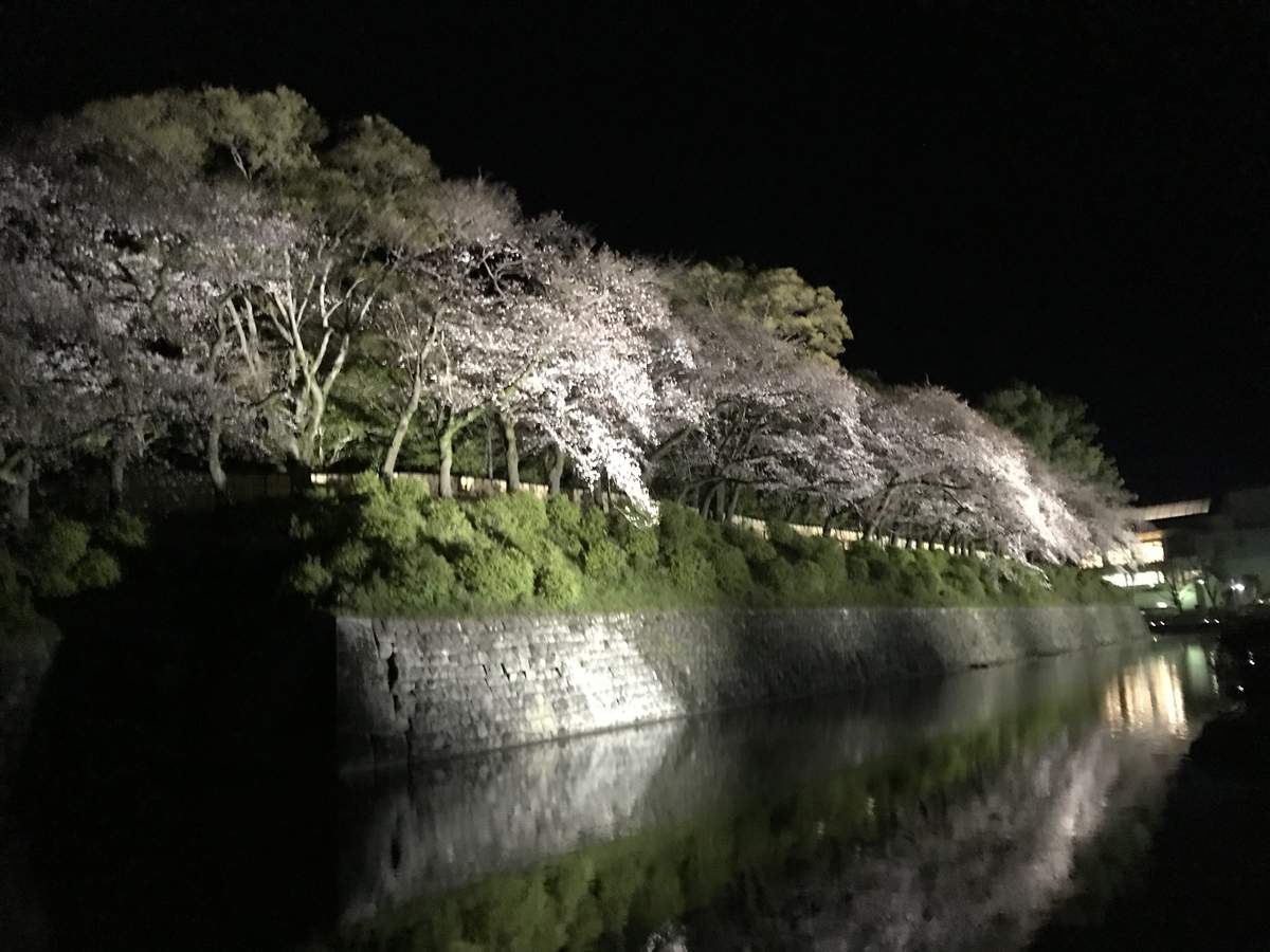 f:id:saitoh_naoki:20190403181752j:plain f:id:saitoh_naoki:20190403181752j:plain