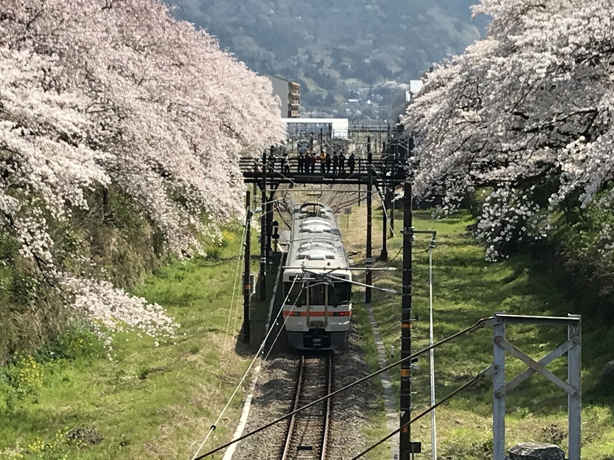 f:id:saitoh_naoki:20190408120622j:plain f:id:saitoh_naoki:20190408120622j:plain