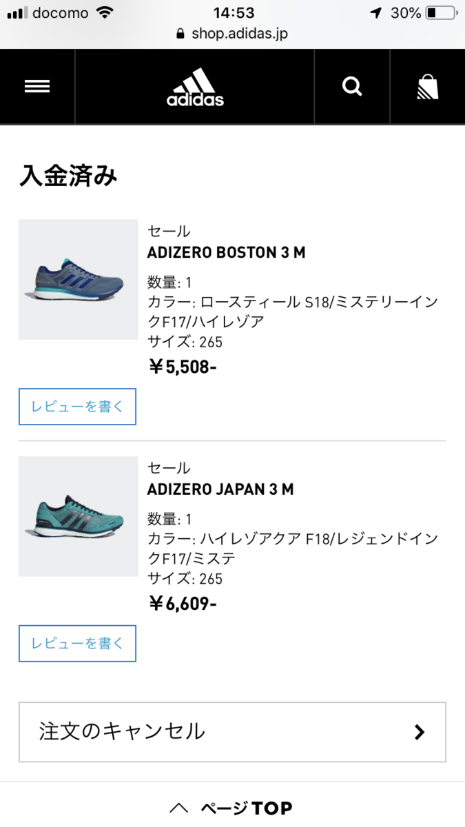 f:id:saitoh_naoki:20190530130213p:plain